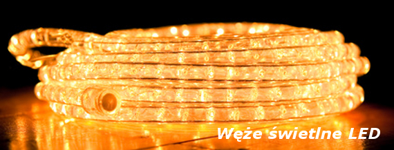 W�e �wietlne LED